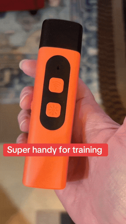 BarkShield Pro No-Bark Device
